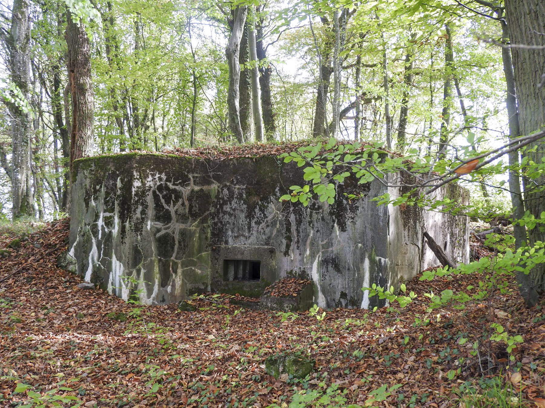Ligne Maginot - HESTROFF NORD 2 - (Blockhaus pour arme infanterie) - La façade de tir du blockhaus. - STENGER Mathieu