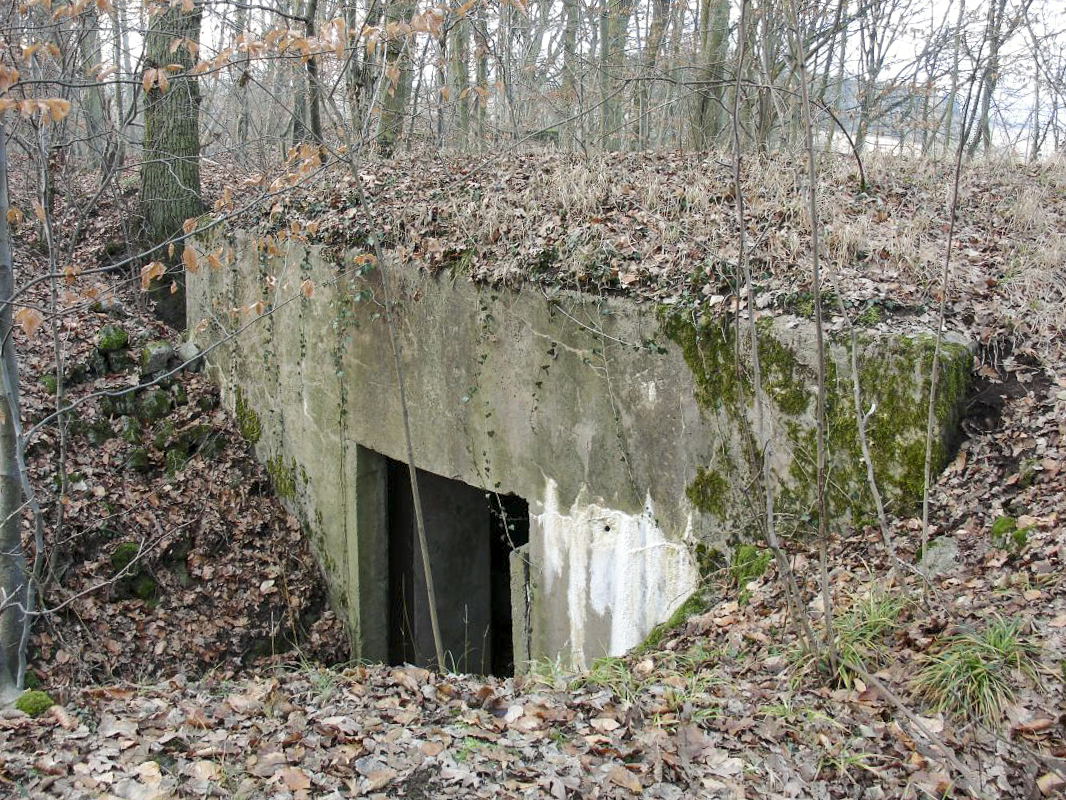 Ligne Maginot - HESTROFF NORD 3 - (Blockhaus pour canon) - Vue sur l'entrée du matériel - Valentin Hemmert