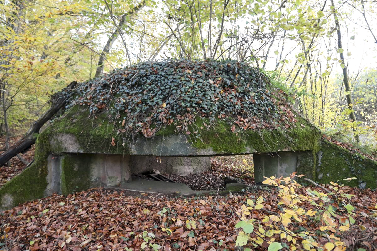 Ligne Maginot - HESTROFF NORD 1 - (Blockhaus pour arme infanterie) - Blockhaus pour mitrailleuse - Valentin Hemmert