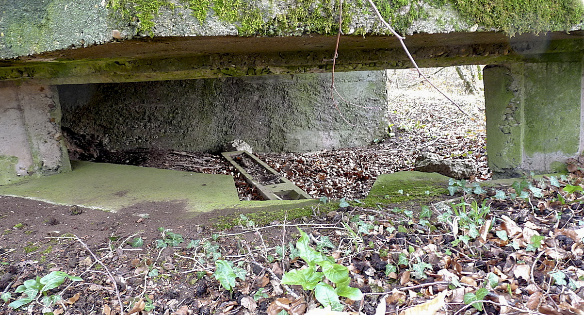 Ligne Maginot - HESTROFF NORD 1 - (Blockhaus pour arme infanterie) -  - Sylvie Laure LAMBERT