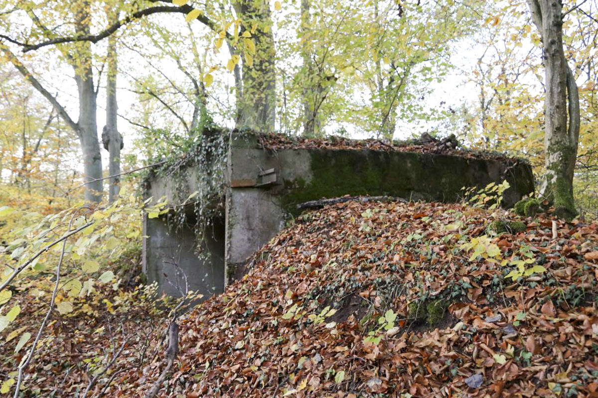 Ligne Maginot - HESTROFF NORD 1 - (Blockhaus pour arme infanterie) -  - Valentin Hemmert