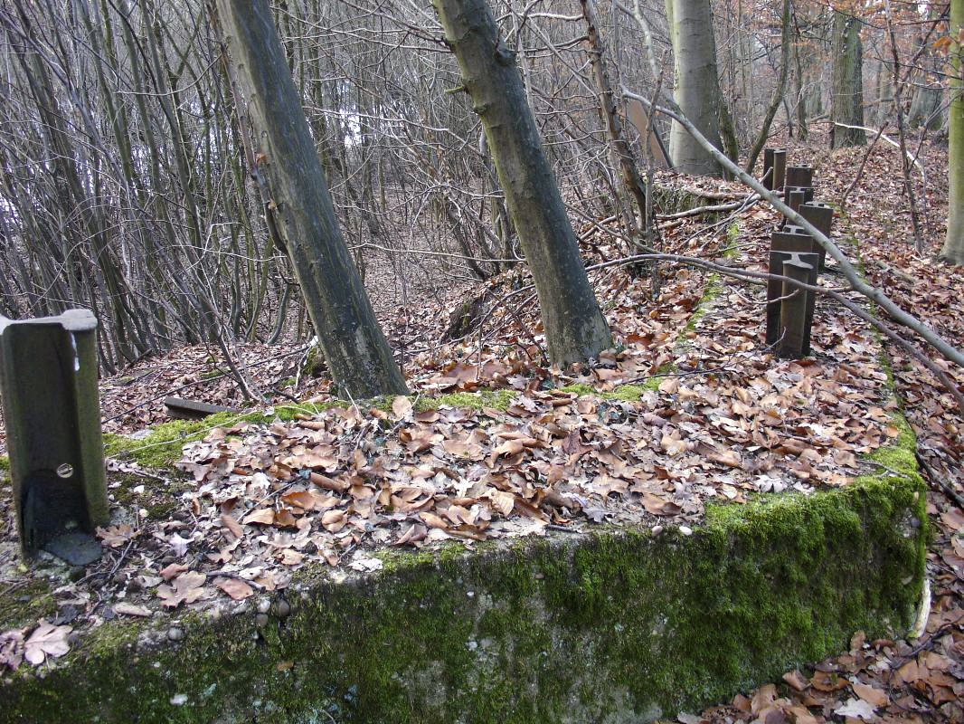 Ligne Maginot - HESTROFF NORD - PARAPET DE TIR - (Divers) - Le mur - Valentin Hemmert
