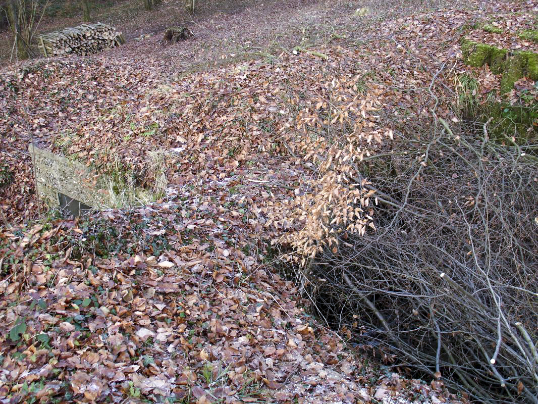 Ligne Maginot - HESTROFF NORD 5 - (Blockhaus de type indeterminé) - Abri ou observatoire de type indéterminé - Valentin Hemmert