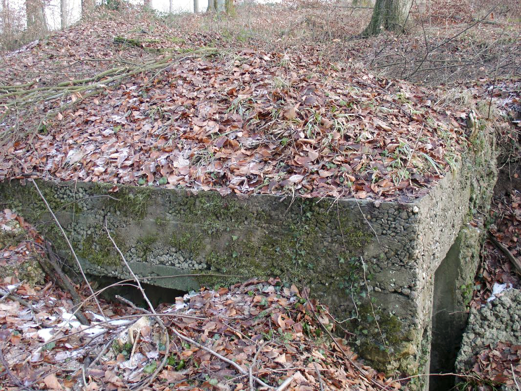 Ligne Maginot - HESTROFF NORD 5 - (Blockhaus de type indeterminé) - Abri ou observatoire de type indéterminé - Valentin Hemmert
