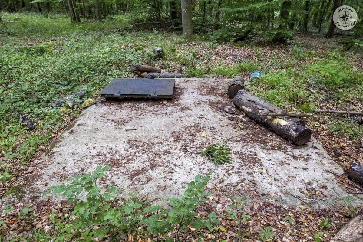 Ligne Maginot - 74M - (Chambre de coupure) -  - Thierry Caland