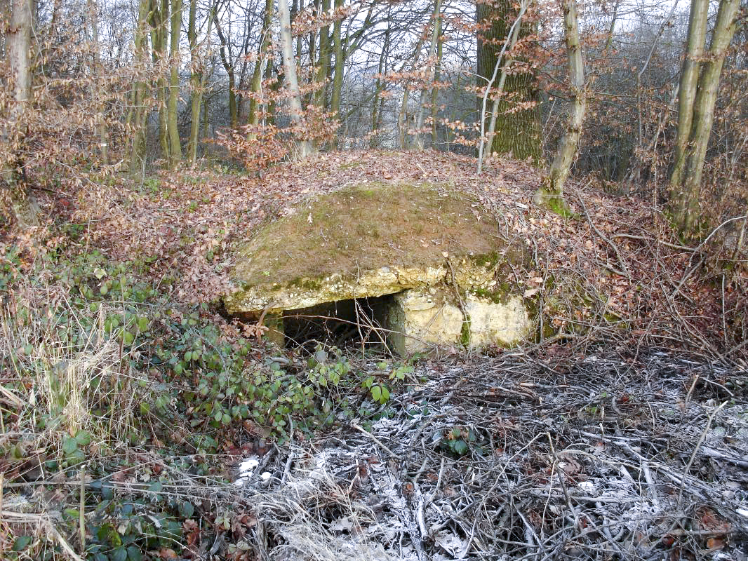 Ligne Maginot - BOUSS   - (Abri) - Abri bien fragile - Valentin Hemmert