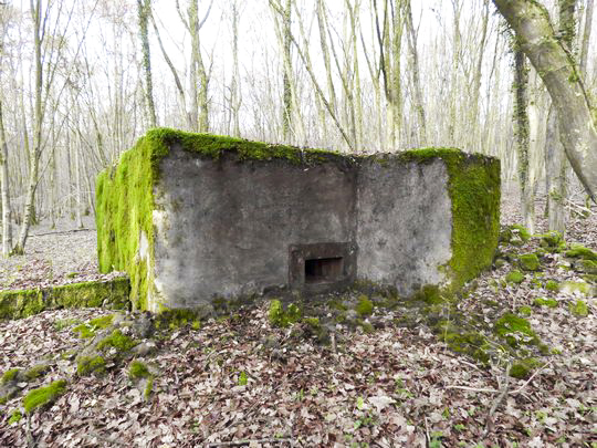 Ligne Maginot - VOR BERG (Blockhaus pour arme infanterie) -  - AALMA - lignemaginot.com