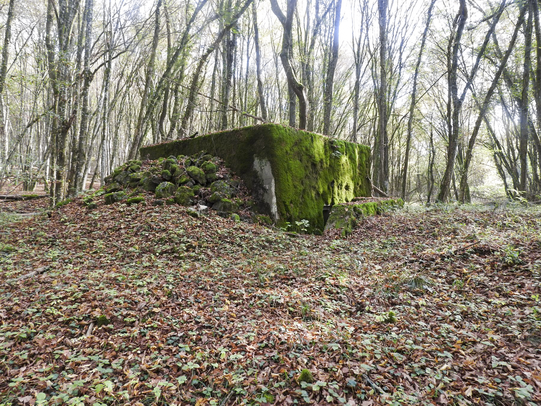 Ligne Maginot - VOR BERG - (Blockhaus pour arme infanterie) - La façade arrière.
Remarquez le camouflage en pierres. - STENGER Mathieu