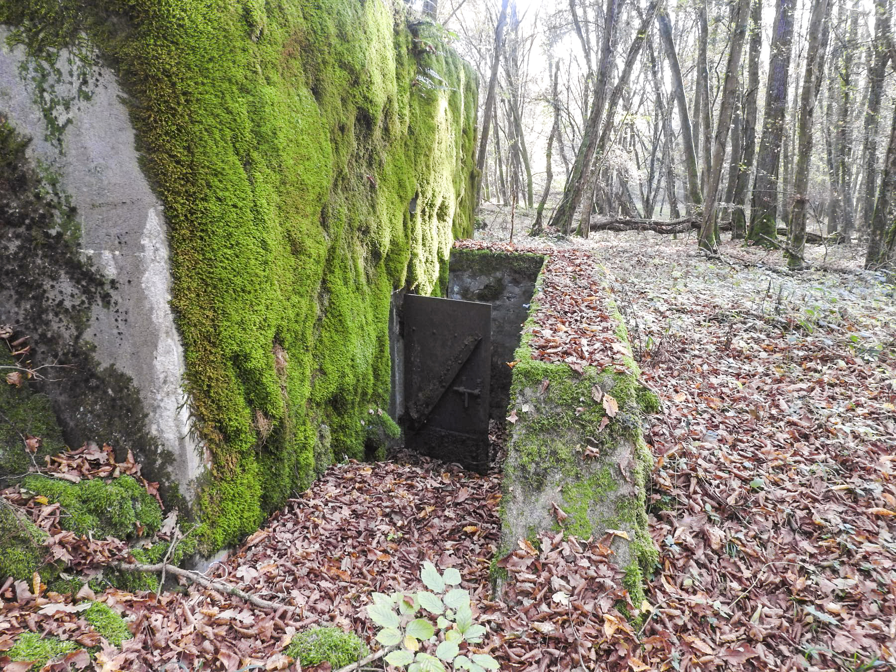 Ligne Maginot - VOR BERG - (Blockhaus pour arme infanterie) - L'entrée du blockhaus. - STENGER Mathieu