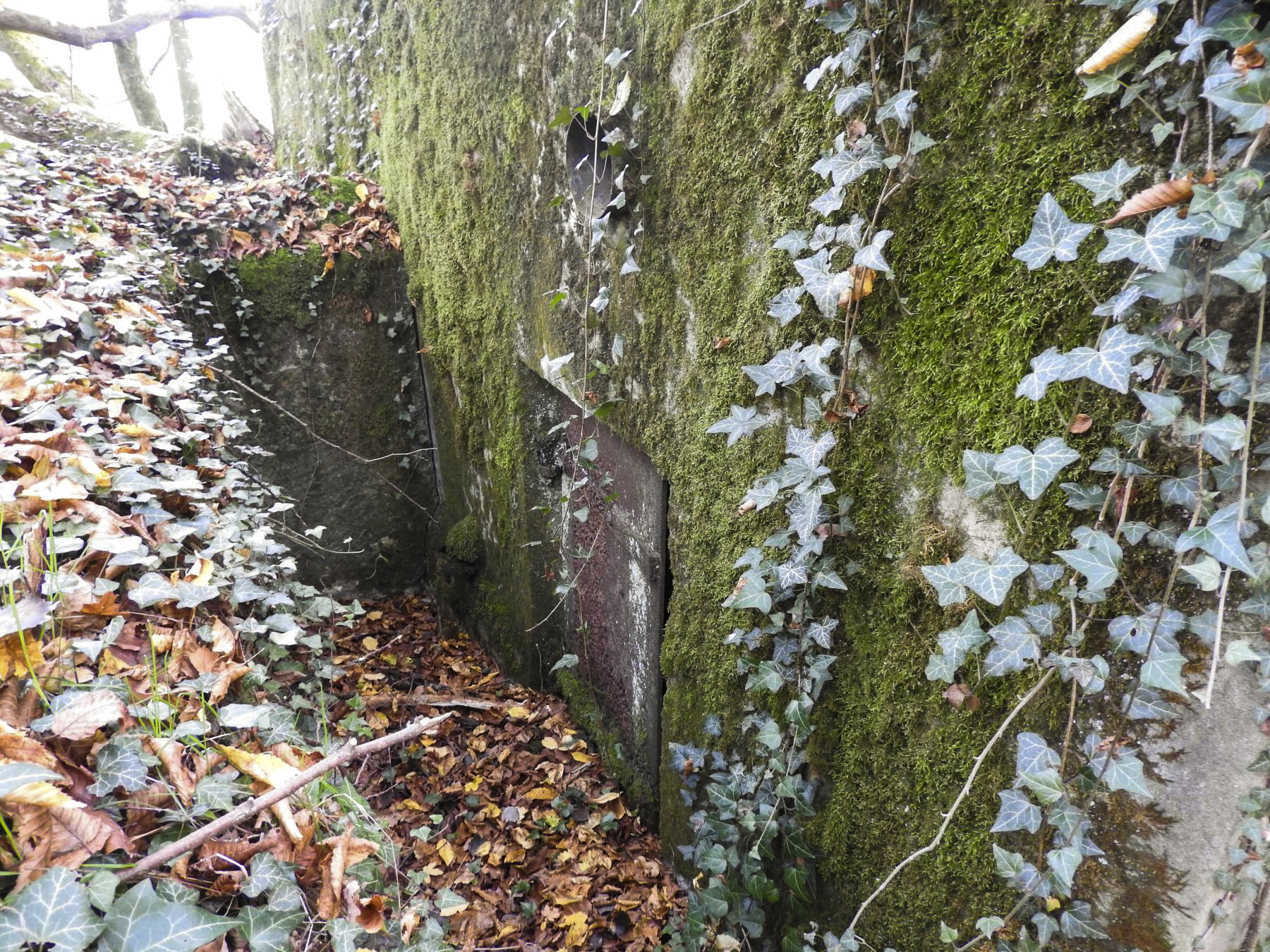 Ligne Maginot - VOR BERG 2 - (Blockhaus pour canon) - L'entrée latérale pour les hommes. - STENGER Mathieu