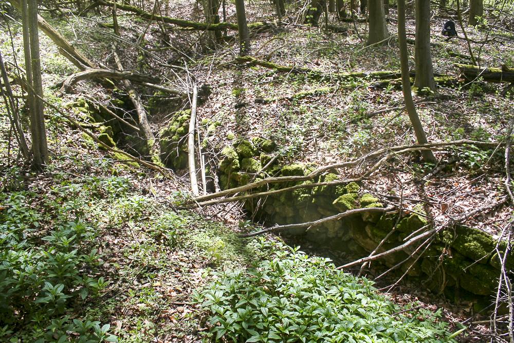 Ligne Maginot - CO0 - BOIS D'ESCHERANGE - (Observatoire d'infanterie) - Tranchée d'accès à l'observatoire - Michel Teiten