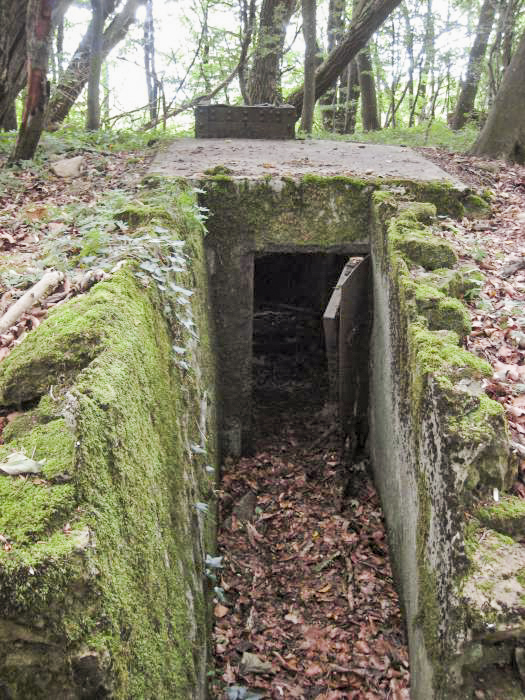 Ligne Maginot - CO0 - BOIS D'ESCHERANGE - (Observatoire d'infanterie) - L'entrée de l'observatoire - Pruzsina jerome