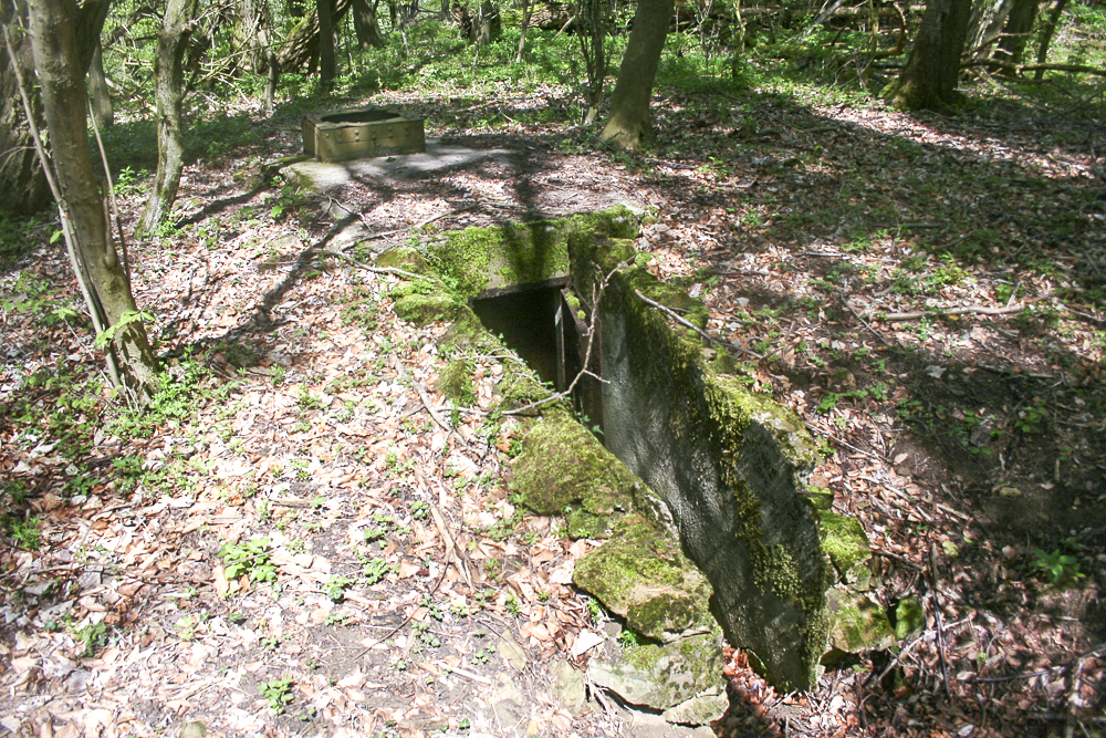 Ligne Maginot - CO0 - BOIS D'ESCHERANGE - (Observatoire d'infanterie) -  - Michel Teiten