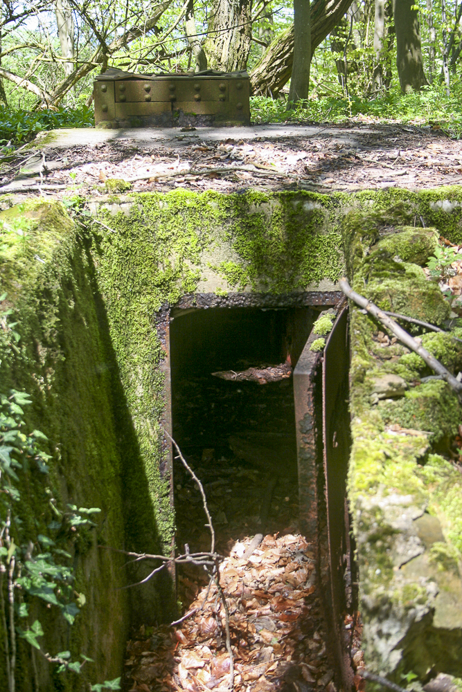 Ligne Maginot - CO0 - BOIS D'ESCHERANGE - (Observatoire d'infanterie) -  - Michel Teiten