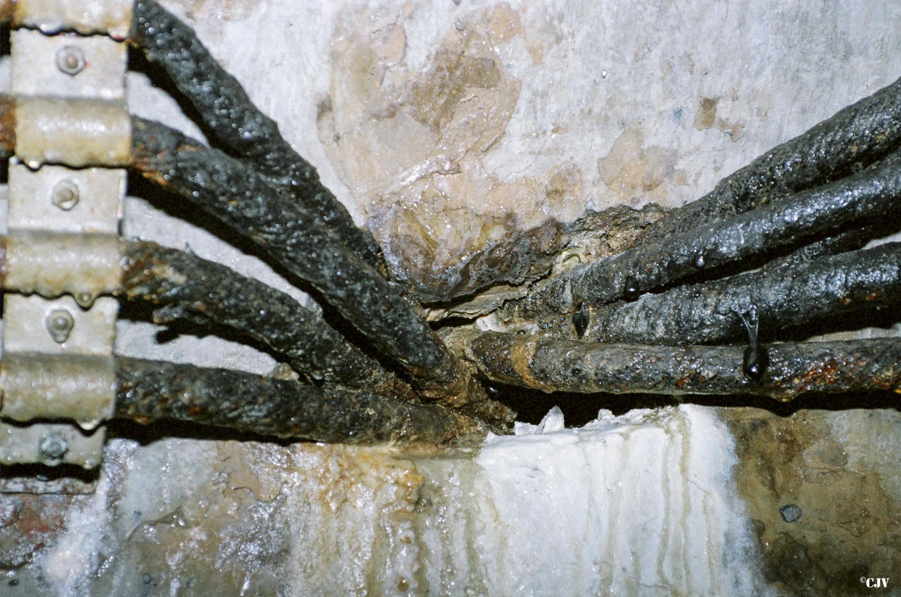 Ligne Maginot - SELOGES - (Ouvrage d'infanterie) - Le débouché des câbles téléphoniques dans la galerie - Lia VERMEULEN