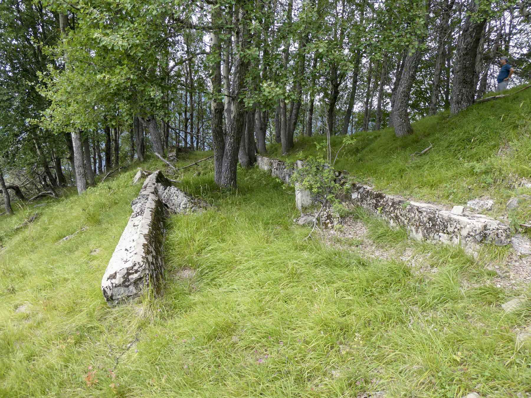 Ligne Maginot - LA BEOLE (BE) - (Ouvrage d'infanterie) - Restes casernement 2 - ELLENA - CUNY