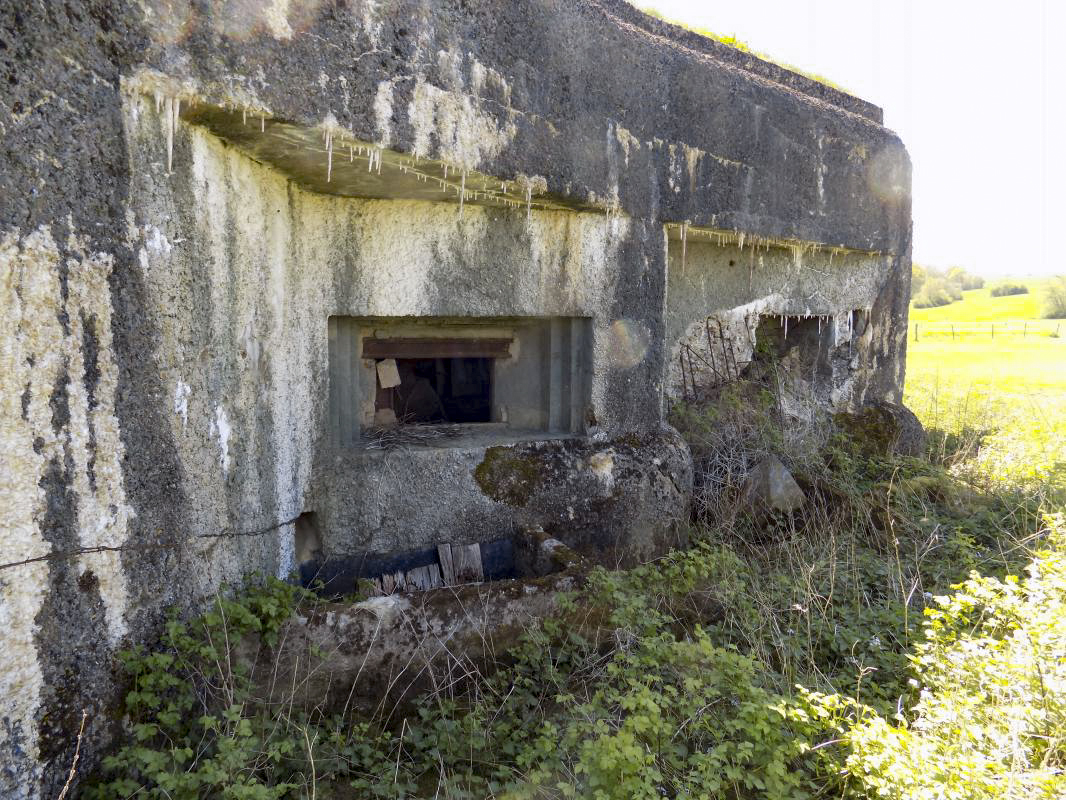 Ligne Maginot - A100 - LA CHAUSSEE - LE FAUNAN - (Blockhaus lourd type STG / STG-FCR - Double) - Face l'ouest - R Tucker