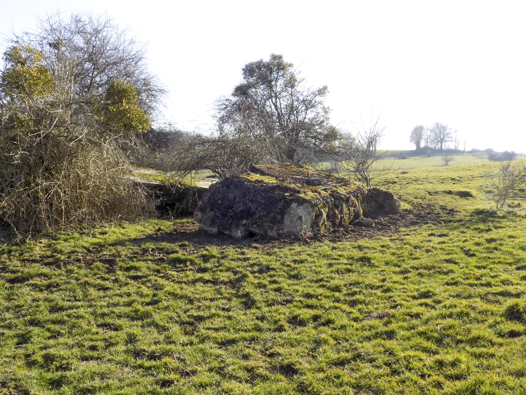 Ligne Maginot - 31BIS - LA CHAUSSEE NORD - (Blockhaus pour canon) -  - R Tucker