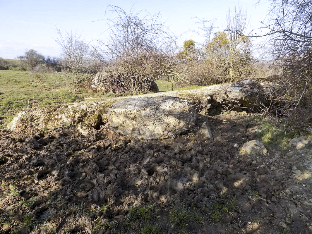 Ligne Maginot - 31BIS - LA CHAUSSEE NORD - (Blockhaus pour canon) -  - R Tucker