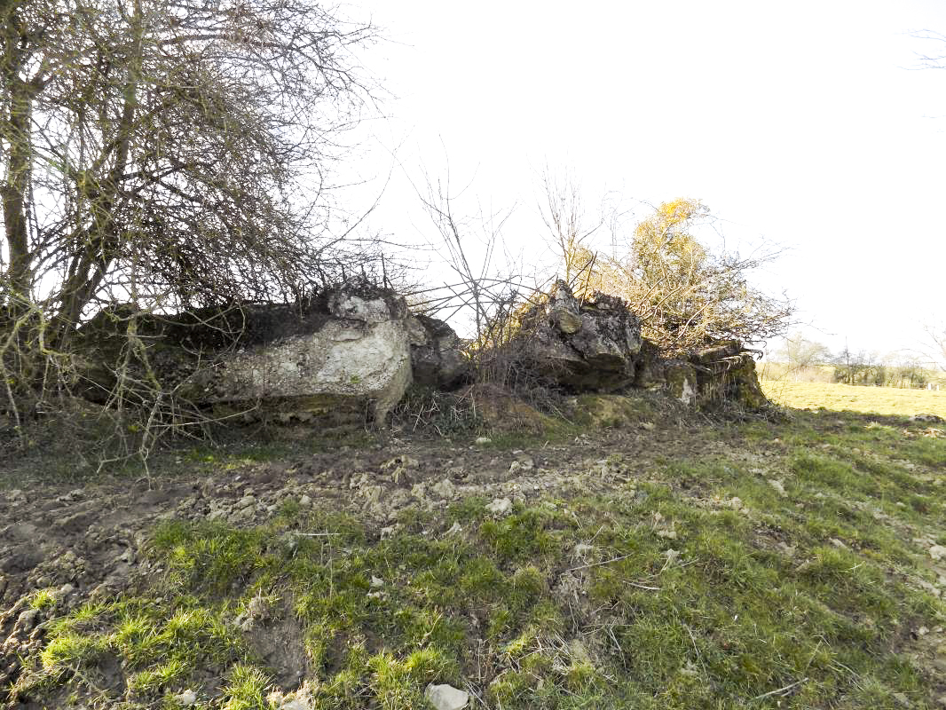 Ligne Maginot - 31BIS - LA CHAUSSEE NORD - (Blockhaus pour canon) -  - R Tucker