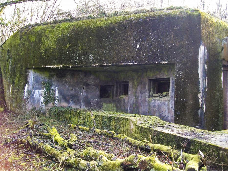 Ligne Maginot - METRICH NORD - C50 - (Casemate d'infanterie - Simple) - Vue extérieure - FRED KOLSCH
