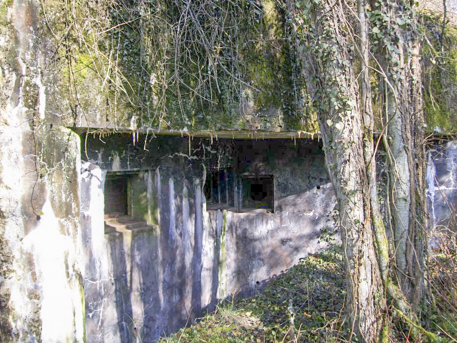 Ligne Maginot - METRICH SUD - C51 - (Casemate d'infanterie - Simple) - Vue extérieur - FRED KOLSCH