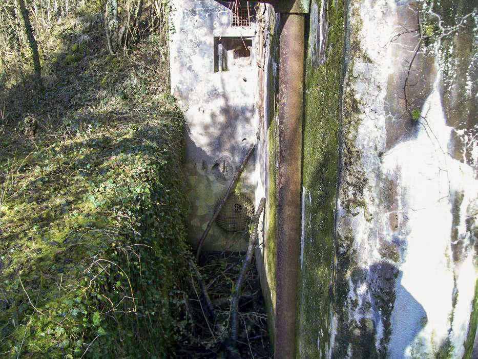 Ligne Maginot - METRICH SUD - C51 - (Casemate d'infanterie - Simple) -  - FRED KOLSCH