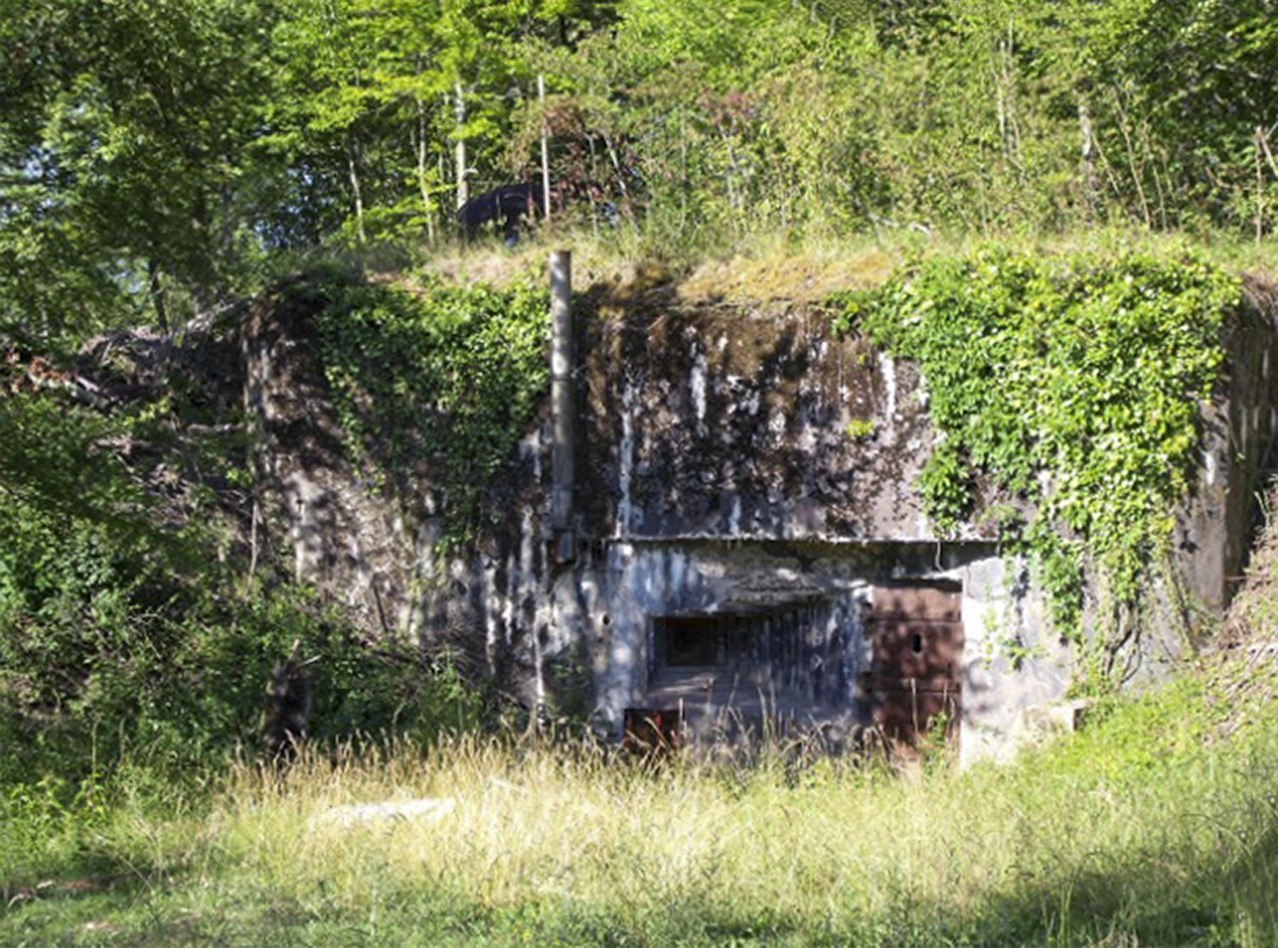 Ligne Maginot - KREKELBUSCH - X15 - (Abri) - Coffre d'entrée Sud - GANDON D