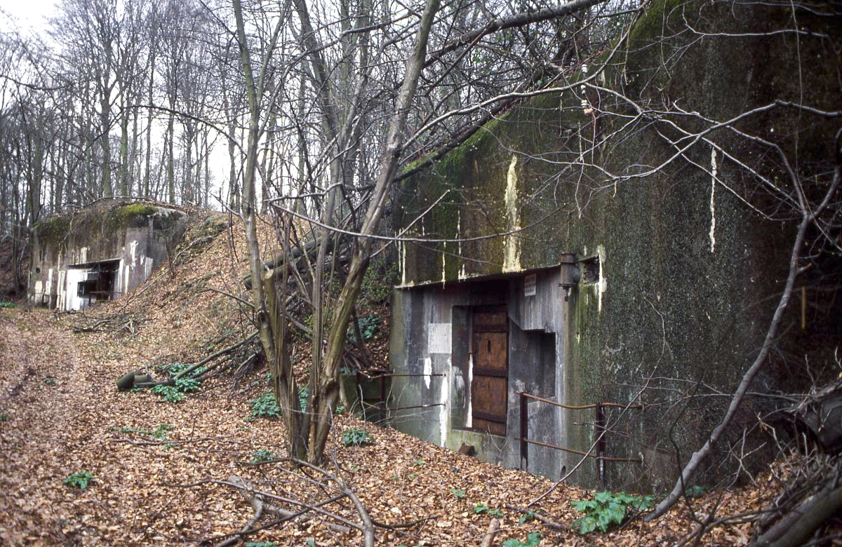 Ligne Maginot - NONNENBERG - X17 - (Abri) -  - Valentin Hemmert