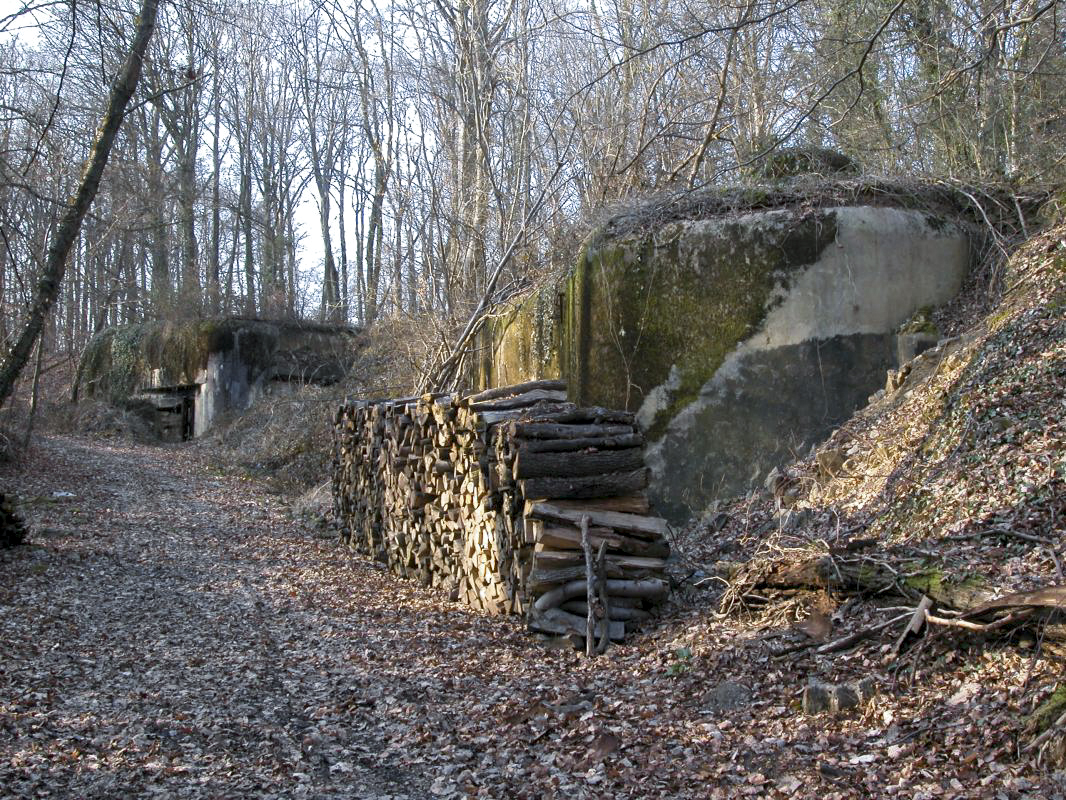 Ligne Maginot - NONNENBERG - X17 - (Abri) - Avant merlonnage de l'abri - Marc Zeig