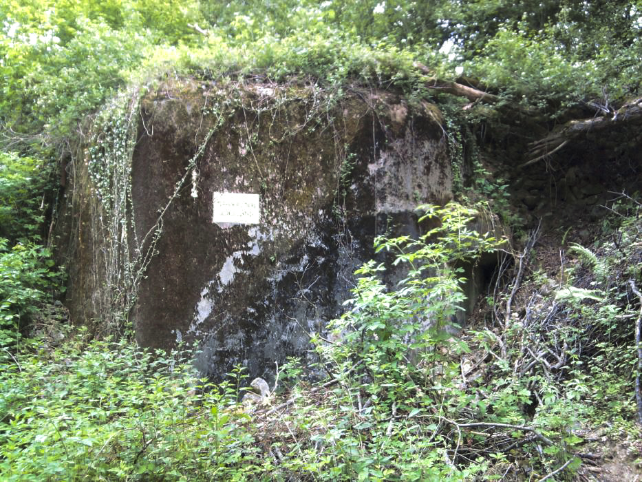 Ligne Maginot - NONNENBERG - X17 - (Abri) - Coffre d'entrée remblayé par l'armée
2012 - Schnoupf