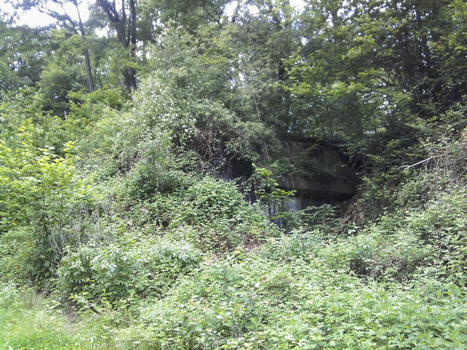 Ligne Maginot - NONNENBERG - X17 - (Abri) - Coffre d'entrée remblayé par l'armée
2012 - Schnoupf