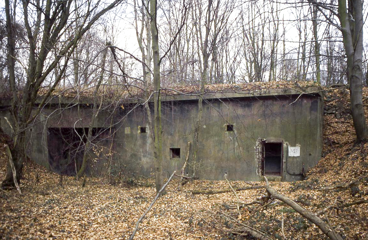 Ligne Maginot - BICHEL NORD - X18 - (Abri) -  - Valentin Hemmert