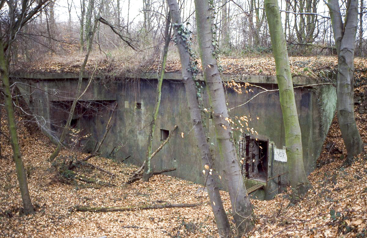 Ligne Maginot - BICHEL NORD - X18 - (Abri) -  - Valentin Hemmert