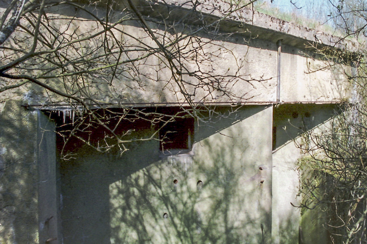 Ligne Maginot - BOIS DE KOENIGSMACKER  - C52 - (Casemate d'infanterie - Simple) -  - Alain Perouffe