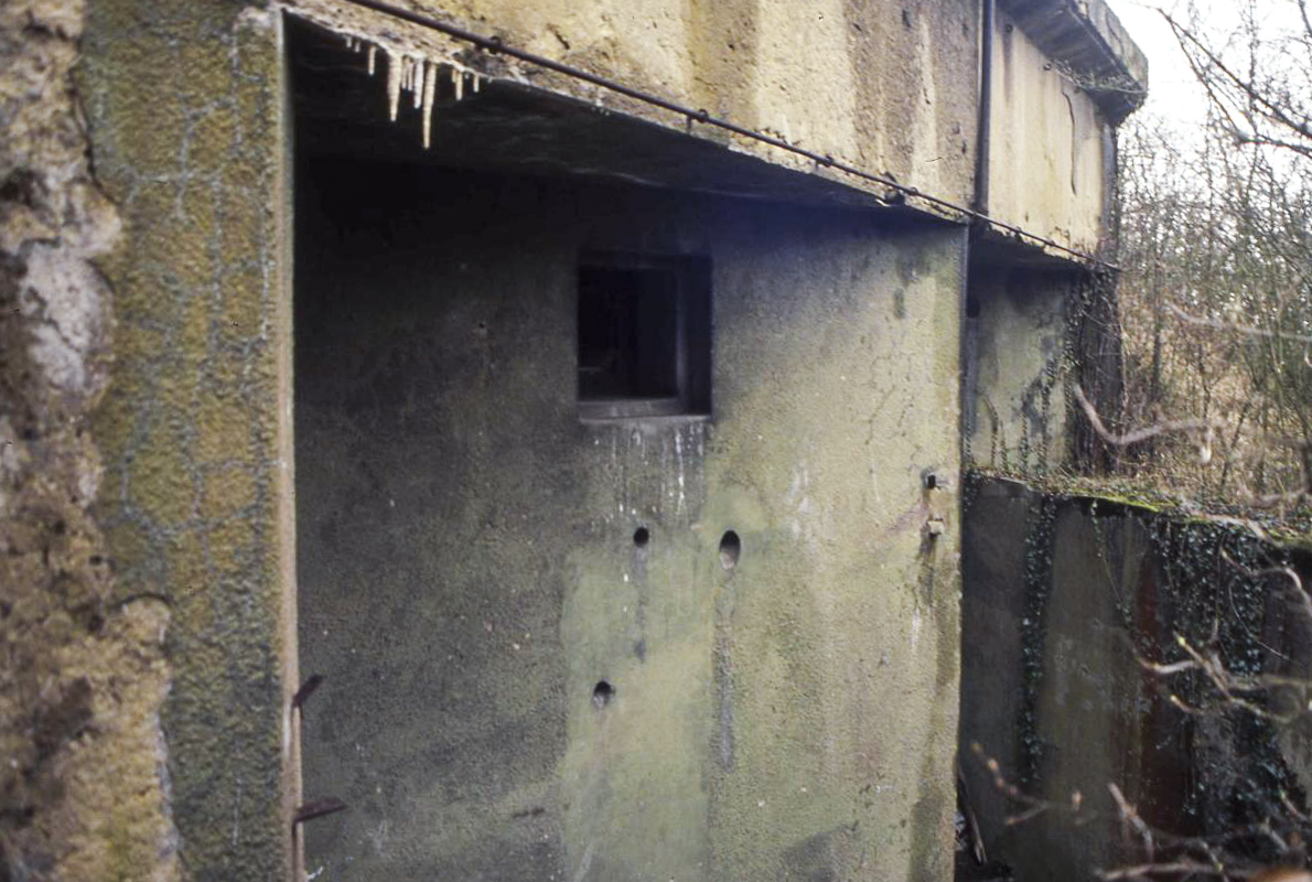Ligne Maginot - BOIS DE KOENIGSMACKER  - C52 - (Casemate d'infanterie - Simple) -  - Valentin Hemmert