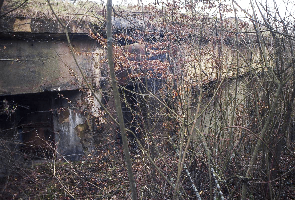 Ligne Maginot - BOIS DE KOENIGSMACKER  - C52 - (Casemate d'infanterie - Simple) -  - Valentin Hemmert