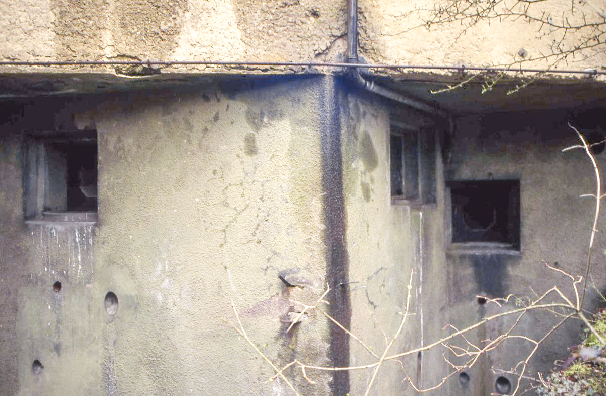 Ligne Maginot - BOIS DE KOENIGSMACKER  - C52 - (Casemate d'infanterie - Simple) -  - Valentin Hemmert