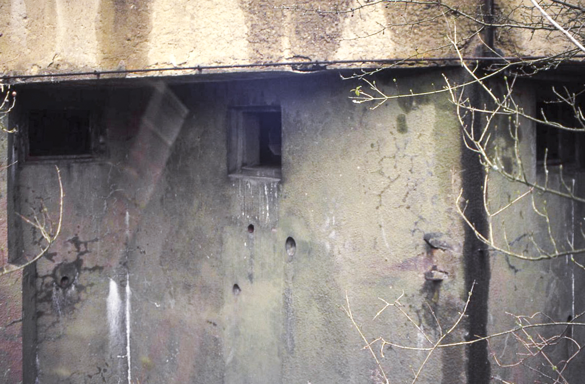 Ligne Maginot - BOIS DE KOENIGSMACKER  - C52 - (Casemate d'infanterie - Simple) -  - Valentin Hemmert