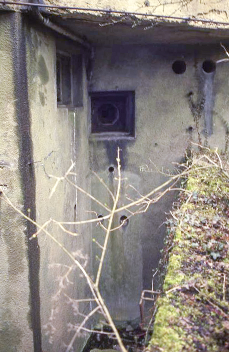 Ligne Maginot - BOIS DE KOENIGSMACKER  - C52 - (Casemate d'infanterie - Simple) -  - Valentin Hemmert