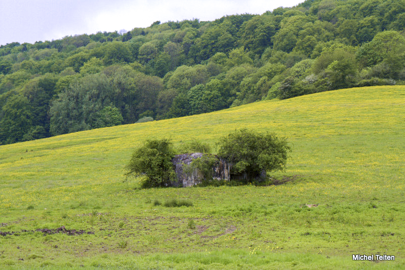 Ligne Maginot - CB13 - (Blockhaus pour canon) -  - Michel Teiten