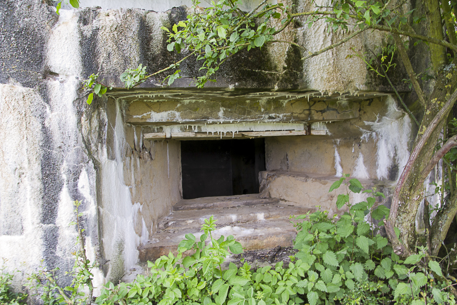 Ligne Maginot - CB13 - (Blockhaus pour canon) - Créneau pour canon AC - Michel Teiten