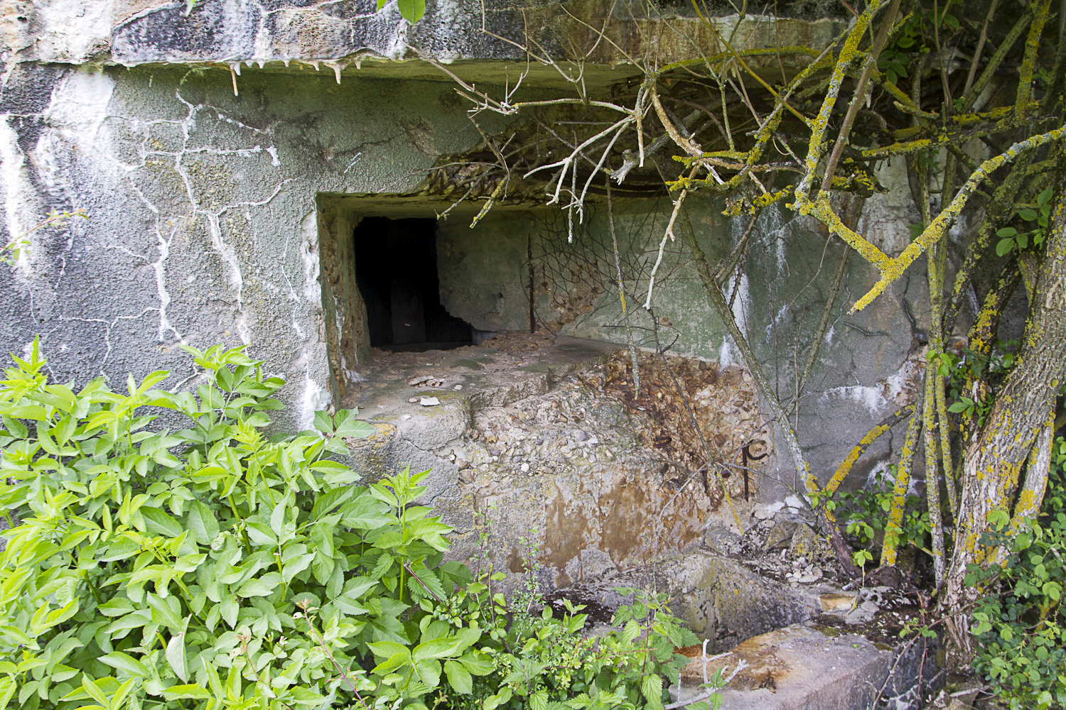 Ligne Maginot - CB13 - (Blockhaus pour canon) - Créneau pour mitrailleuse - Michel Teiten