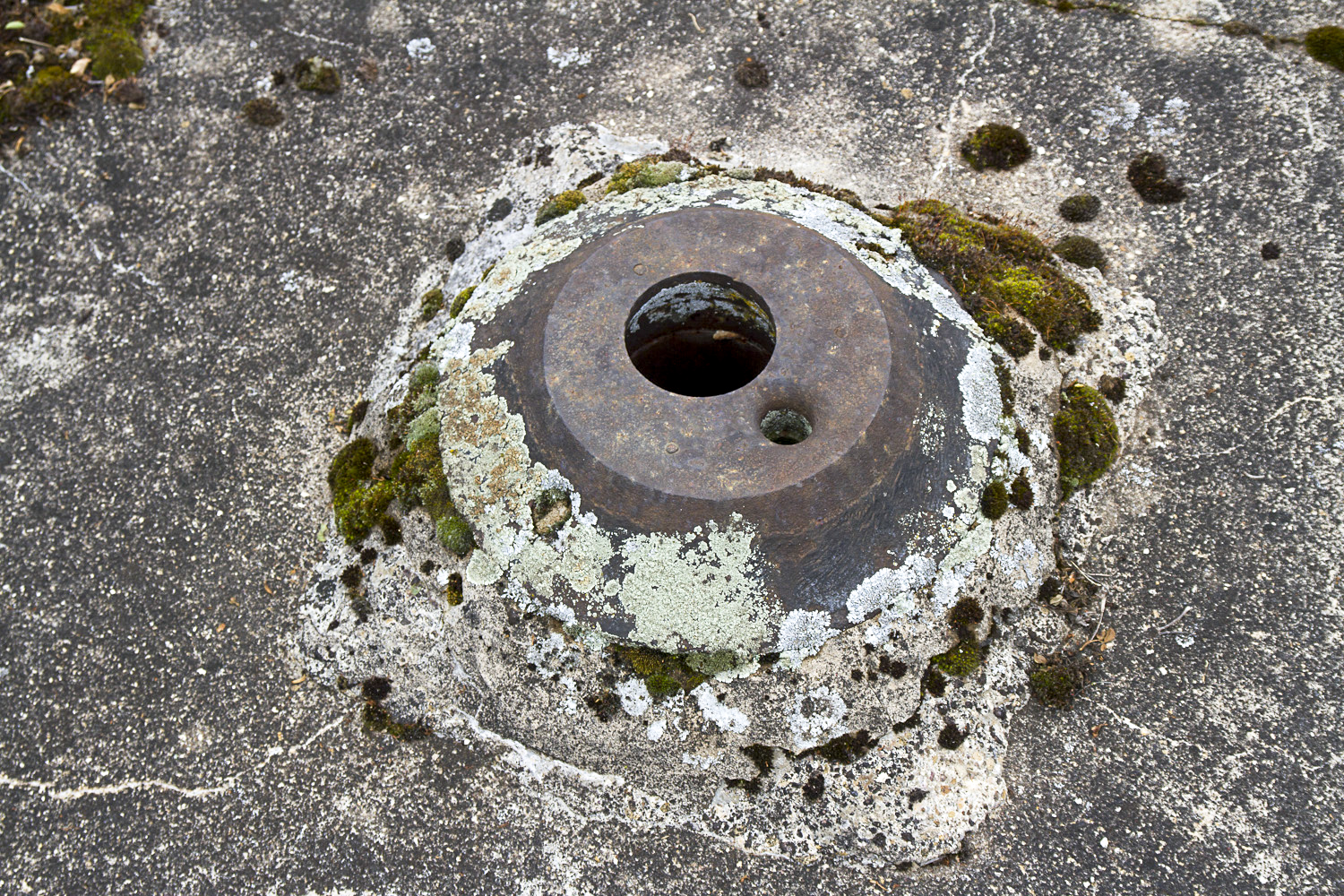 Ligne Maginot - CB13 - (Blockhaus pour canon) - Orifice pour périscope sur la dalle du blockhaus - Michel Teiten