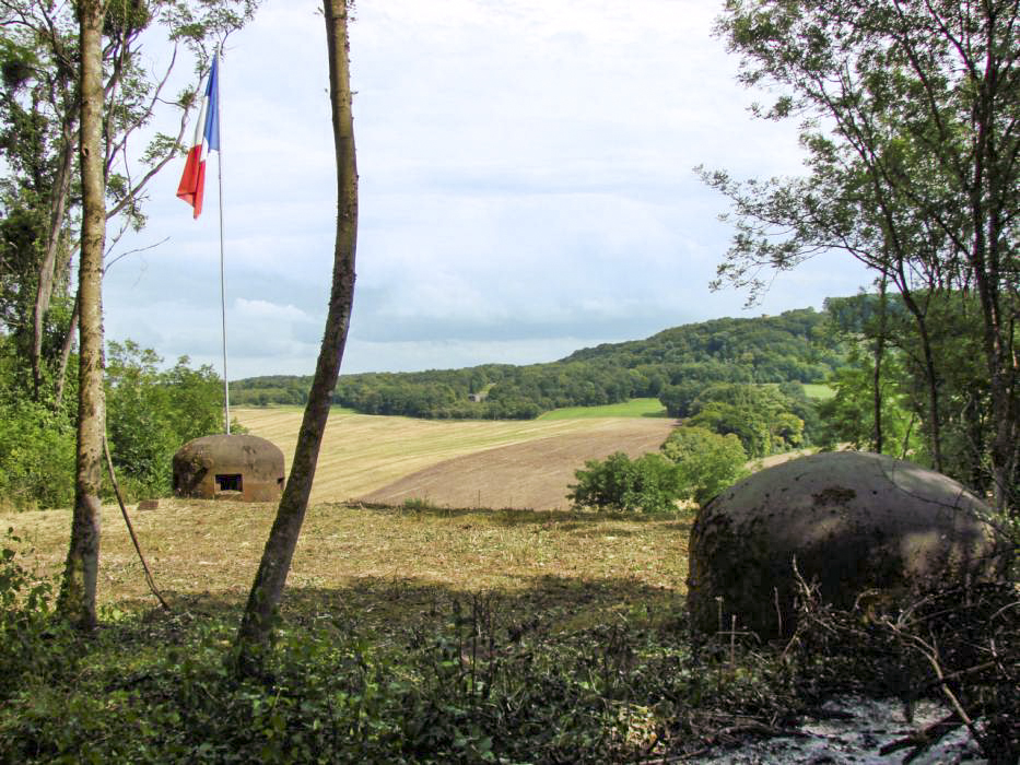 Ligne Maginot - HUMMERSBERG SUD - C54 - (Casemate d'infanterie) - Au premier plan la clôche factice, au second plan la clôche GFM, au troisième plan on aperçoit le bloc 7 du G.O. du Hackenberg et enfin, au sommet de la coline on distingue la chapelle du Hackenberg avec à ces pied le bloc 11. - Schnoupf