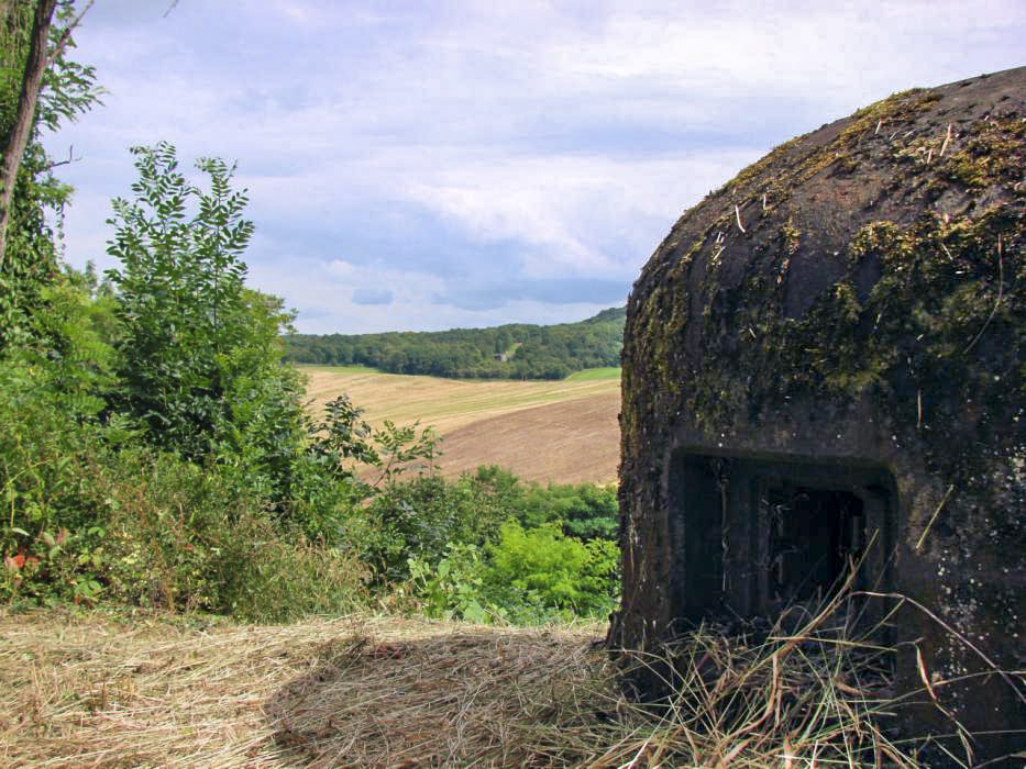 Ligne Maginot - HUMMERSBERG SUD - C54 - (Casemate d'infanterie) - Vue sur le bloc 7 suivi du bloc 9 du G.O. du Hackenberg. - Schnoupf