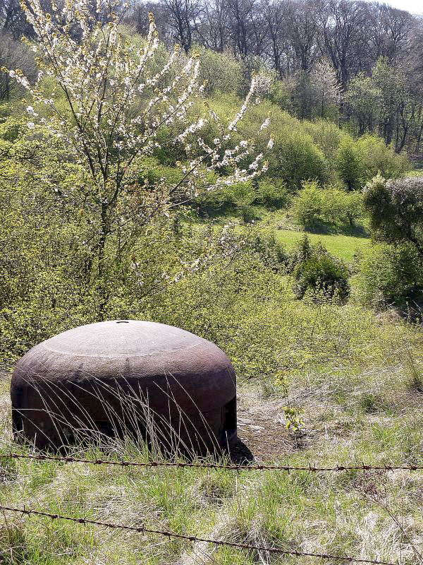 Ligne Maginot - PETERSBERG - X4 - (Abri actif) -  - Sylvie Laure LAMBERT