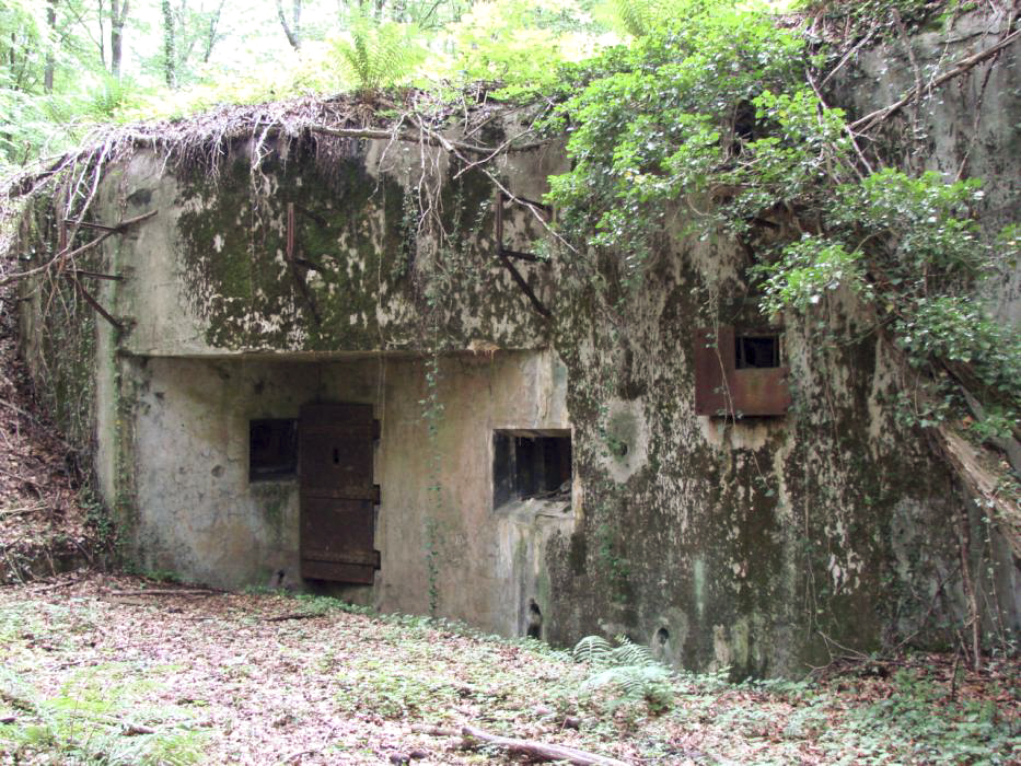 Ligne Maginot - BOIS DE KLANG - X24 (QUARTIER KLANG - III/164° RIF) - (Abri) - L'entrée droite - Schnoupf