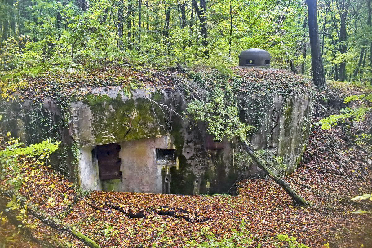 Ligne Maginot - BOIS DE KLANG - X24 (QUARTIER KLANG - III/164° RIF) - (Abri) - Entrée droite
Avec antenne radio, fossé diamant et cloche GFM - Daniel Froehly