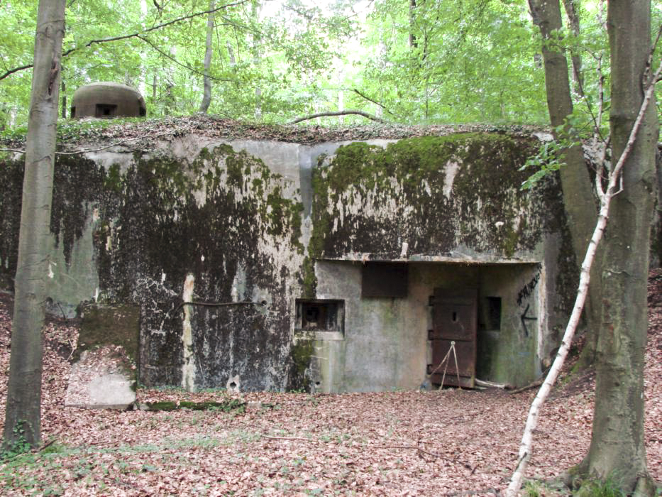 Ligne Maginot - BOIS DE KLANG - X24 (QUARTIER KLANG - III/164° RIF) - (Abri) - Entrée gauche - Schnoupf